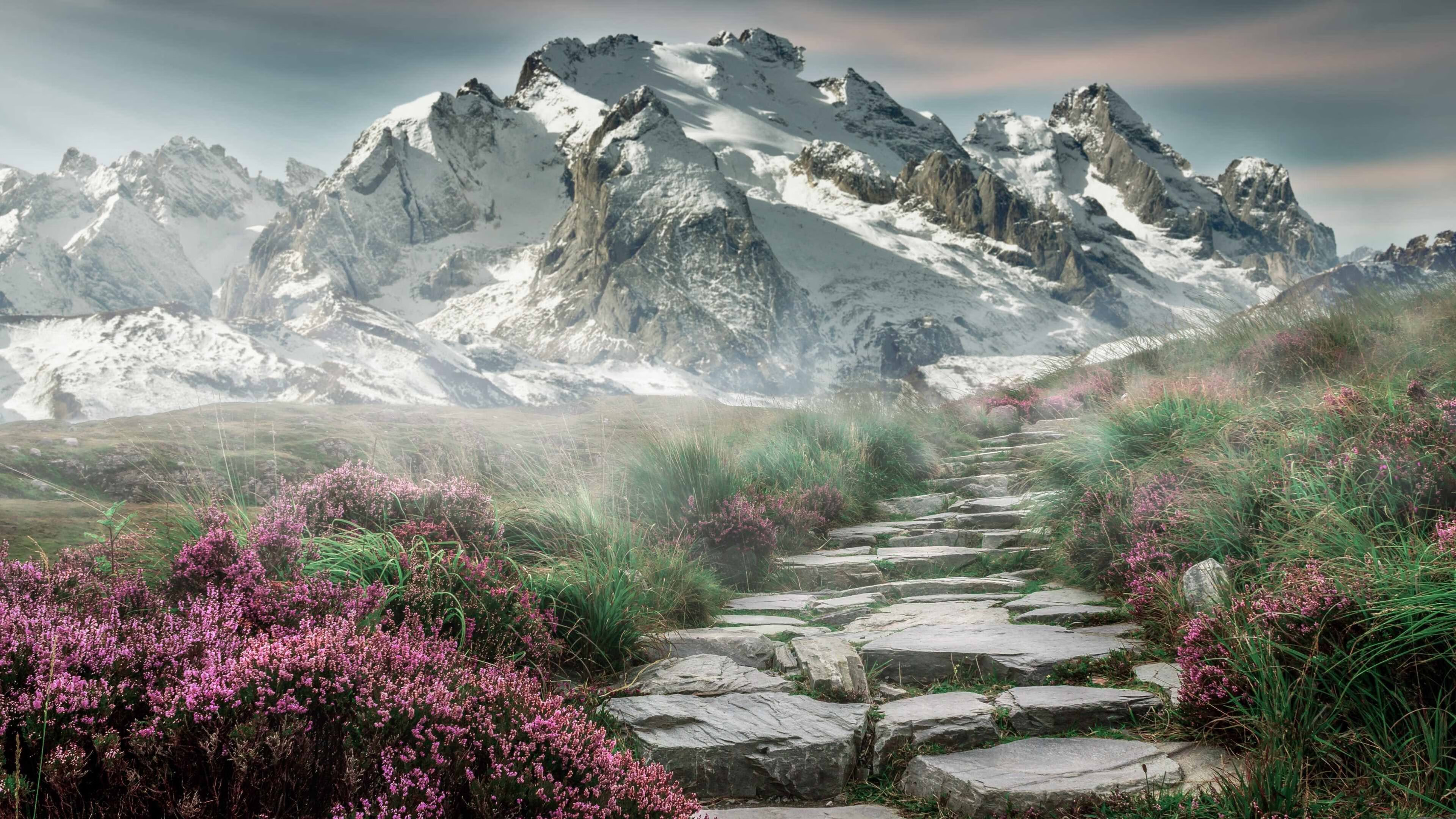 你支持哪支球队？本赛季西甲赛前热搜，西甲引援