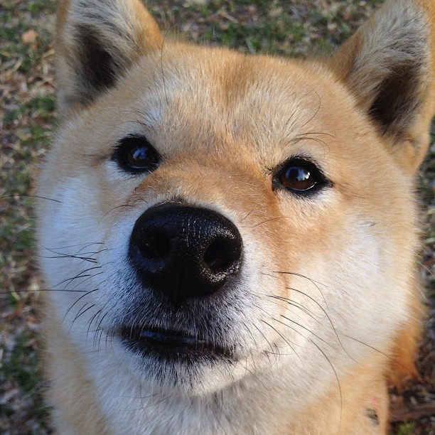 场上英雄:李明全面爆发,攻防兼备!