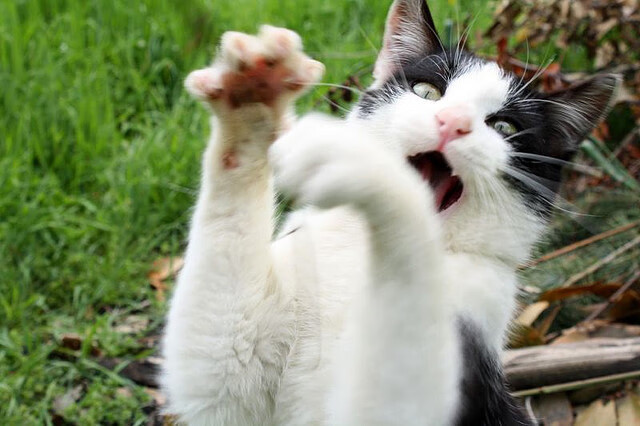 电竞与科技领域的紧密结合:技术驱动,体验升级,电竞与游戏