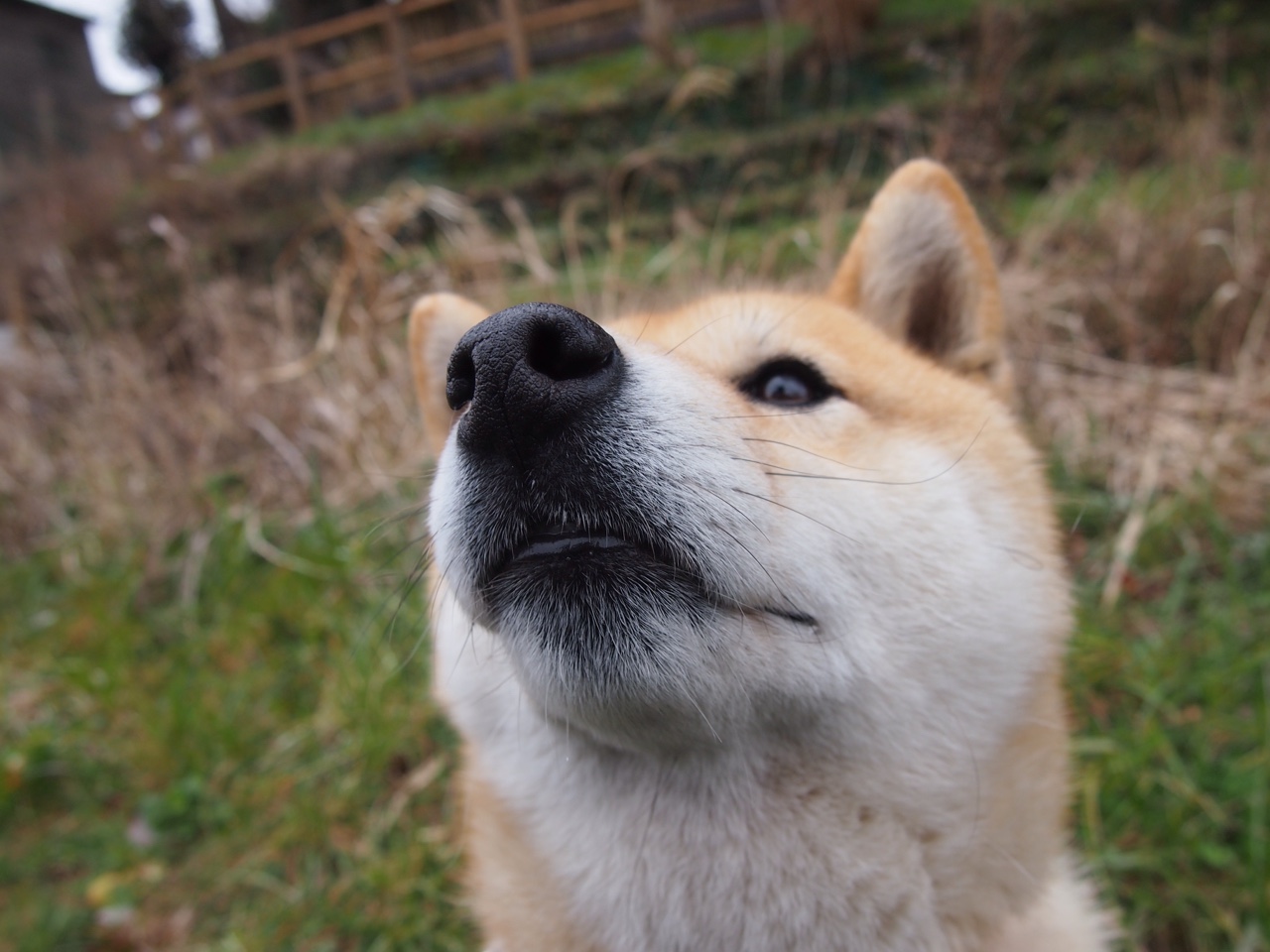 篮球教练员资格认证考试改革进行中,篮球教练员资格证报名
