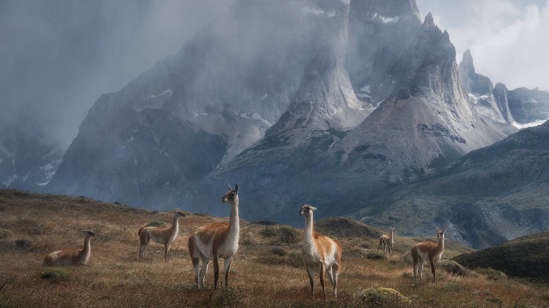 九游下载安装-足球场地智能管理系统实现全境监控，保障安全高效，足球场地设施