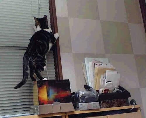 JIU YOU GAME-RB莱比锡加紧冬季转会，莱比锡转会新闻