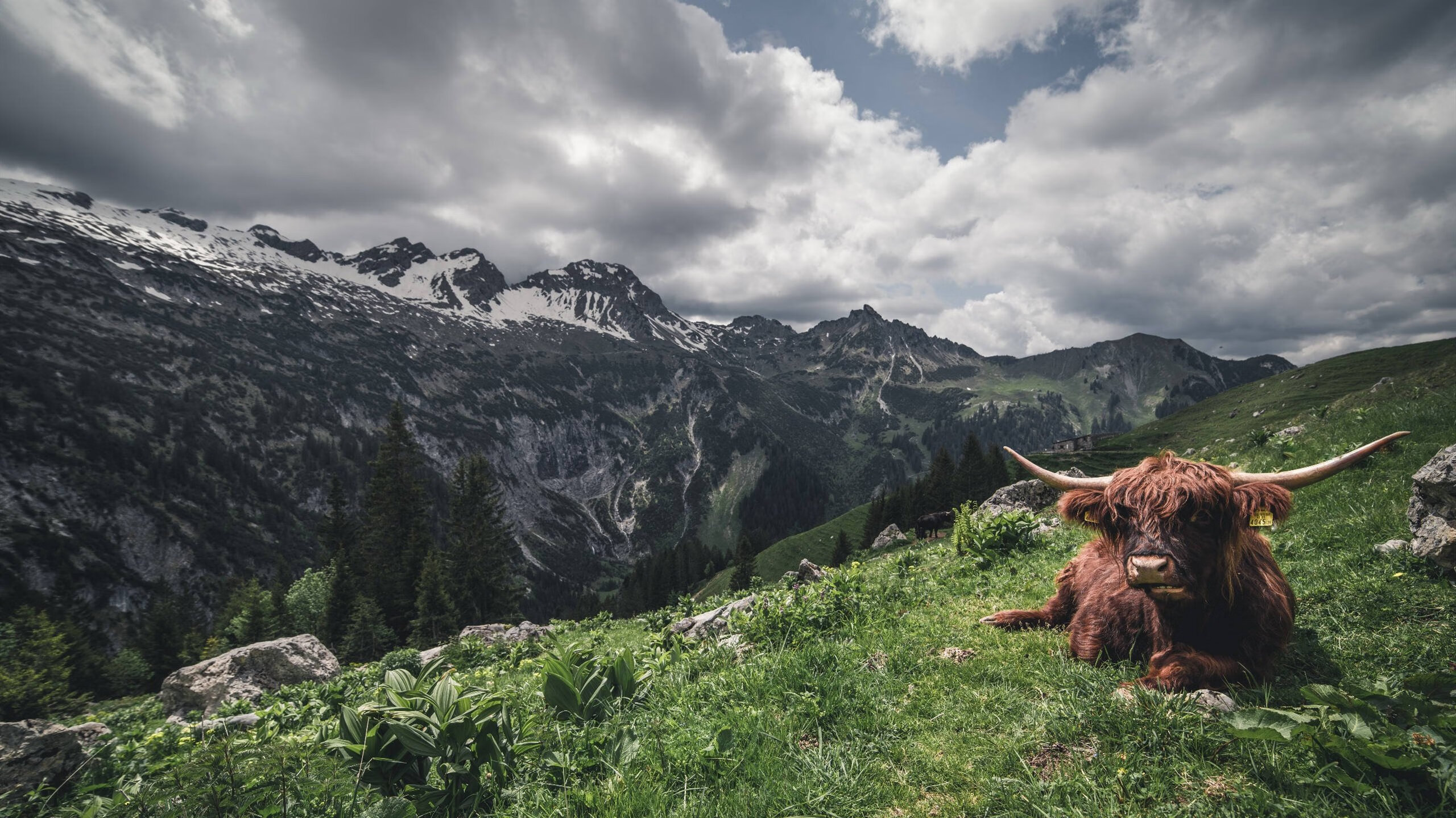 九游娱乐官网 (JIUYOU)-切尔西女足客场逆转曼联女足，切尔西女足欧冠