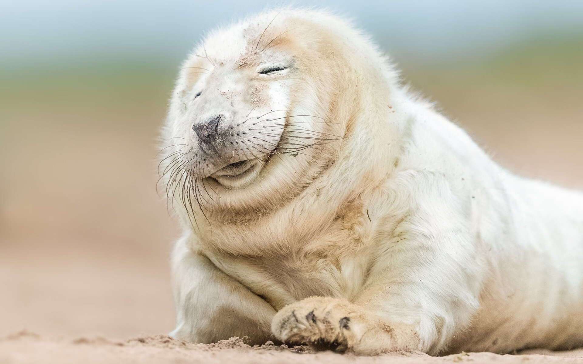 外援融合是否成为球队战术多样性关键,啥是外援