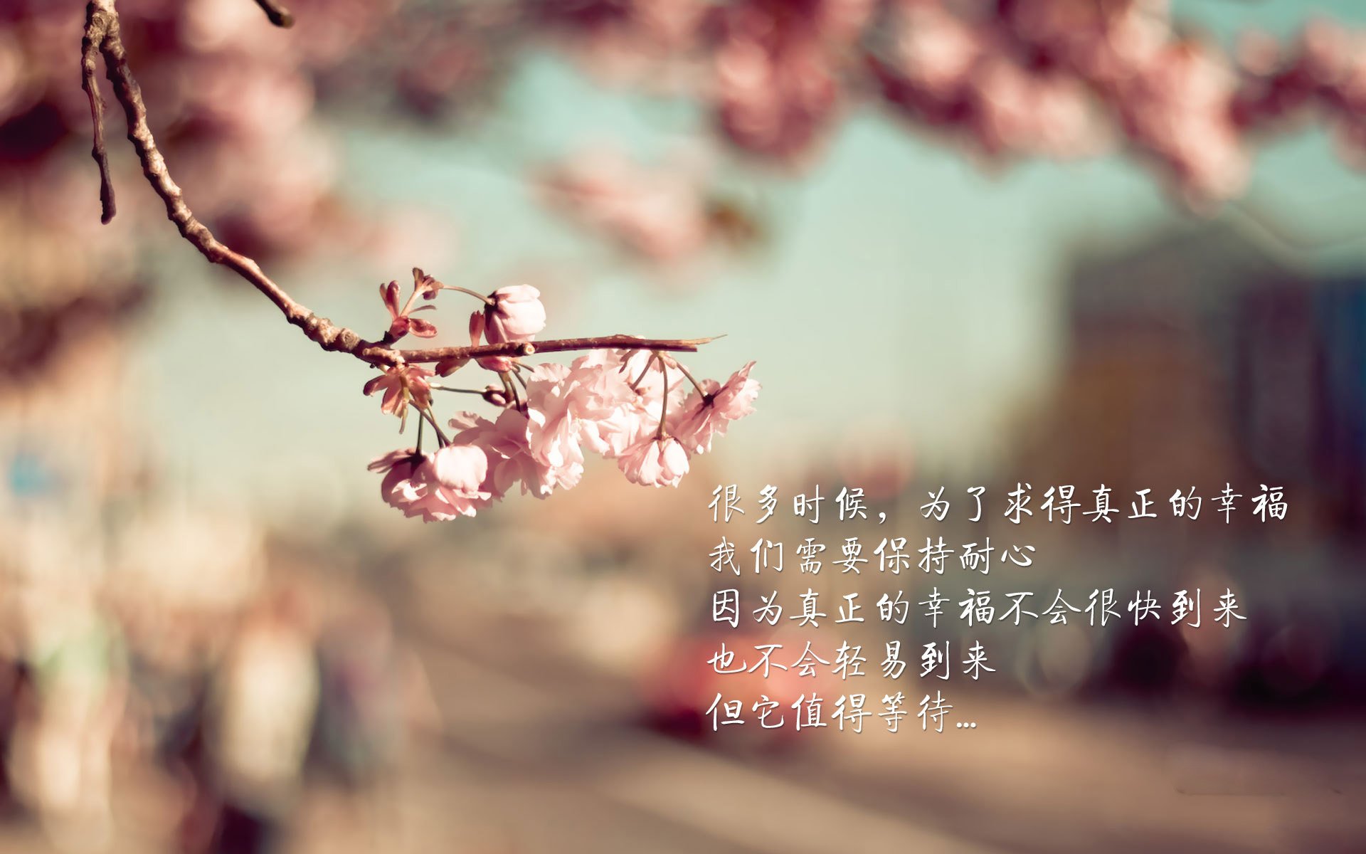 奇才队防守反击战术成效明显,奇才队伤员名单