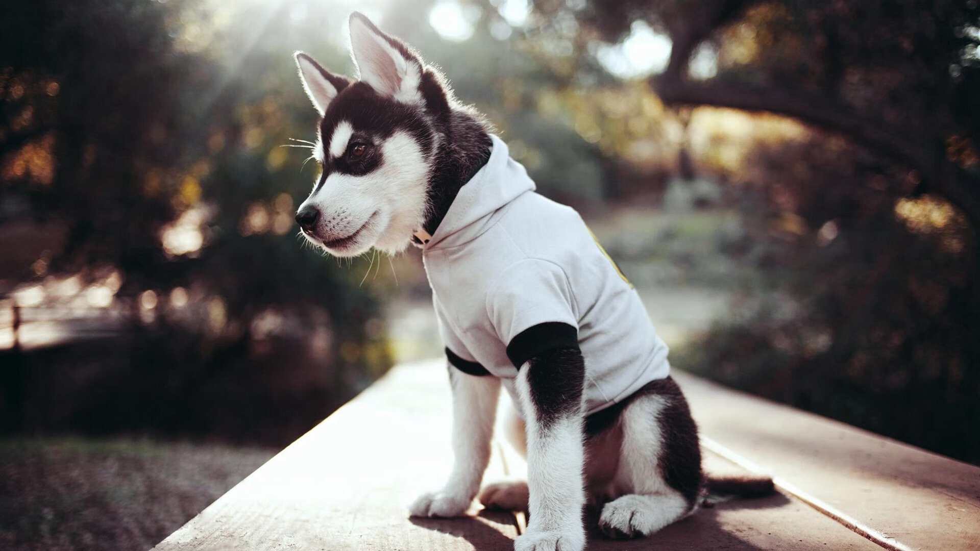 -广州富力主场遭大连一方逆转，中超战局变化，广州富力主场遭大连一方逆转,中超战局变化大吗