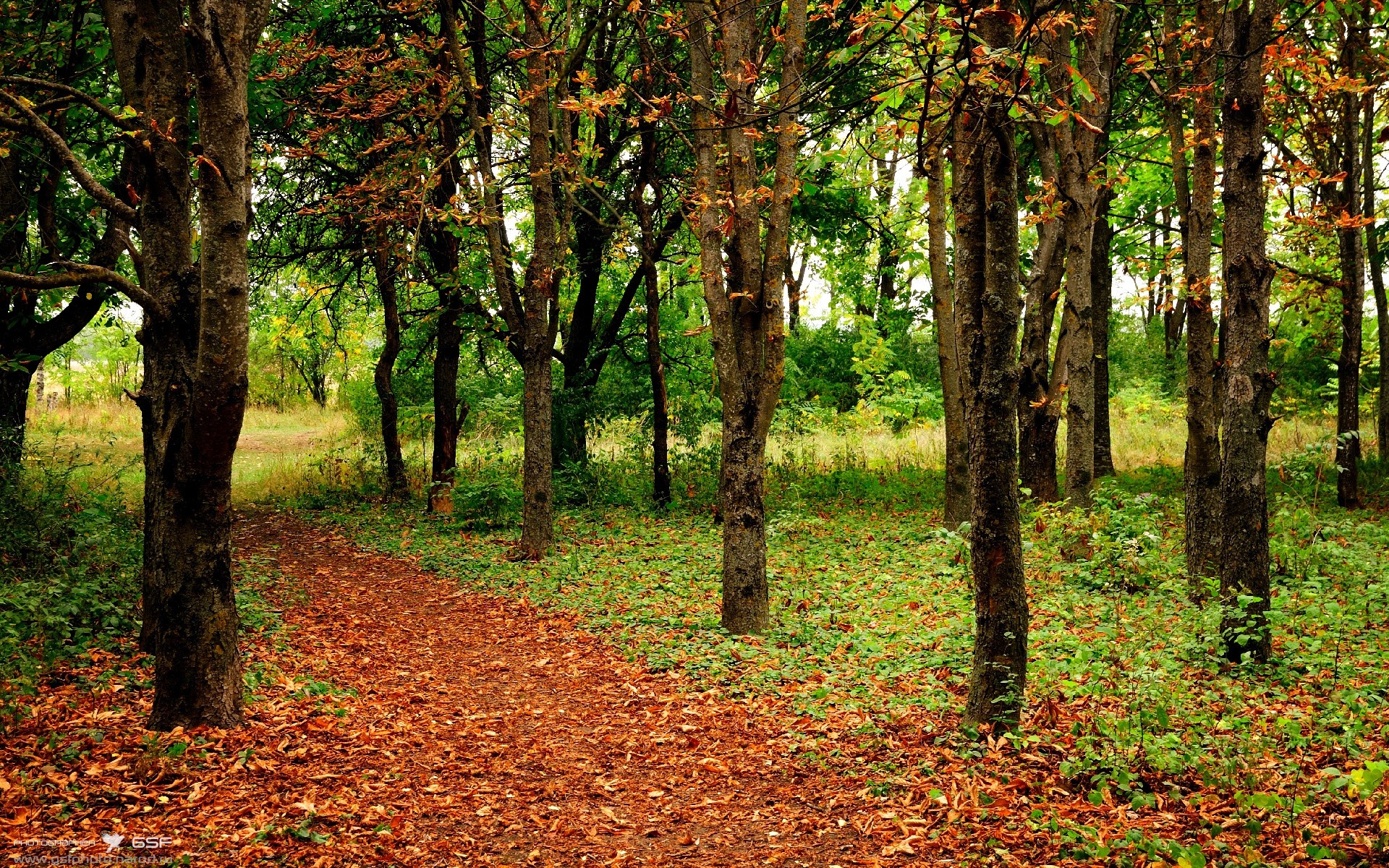 九游娱乐中心-拜仁慕尼黑主场大胜，稳健领跑德甲积分榜，拜仁慕尼黑 主场