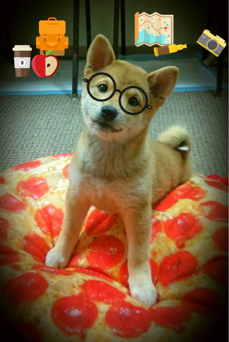 -曼联0-2切尔西，遭遇两连败，曼联0_5切尔西