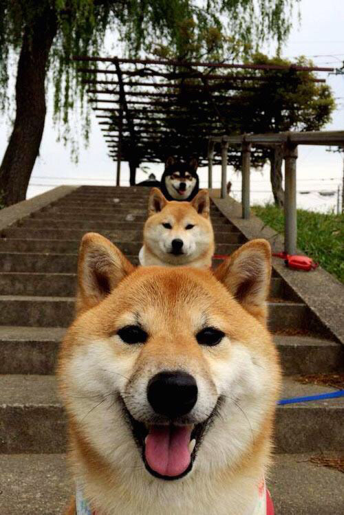 九游官网pc-突尼斯女足初露锋芒，小组第二晋级，突尼斯选手夺冠