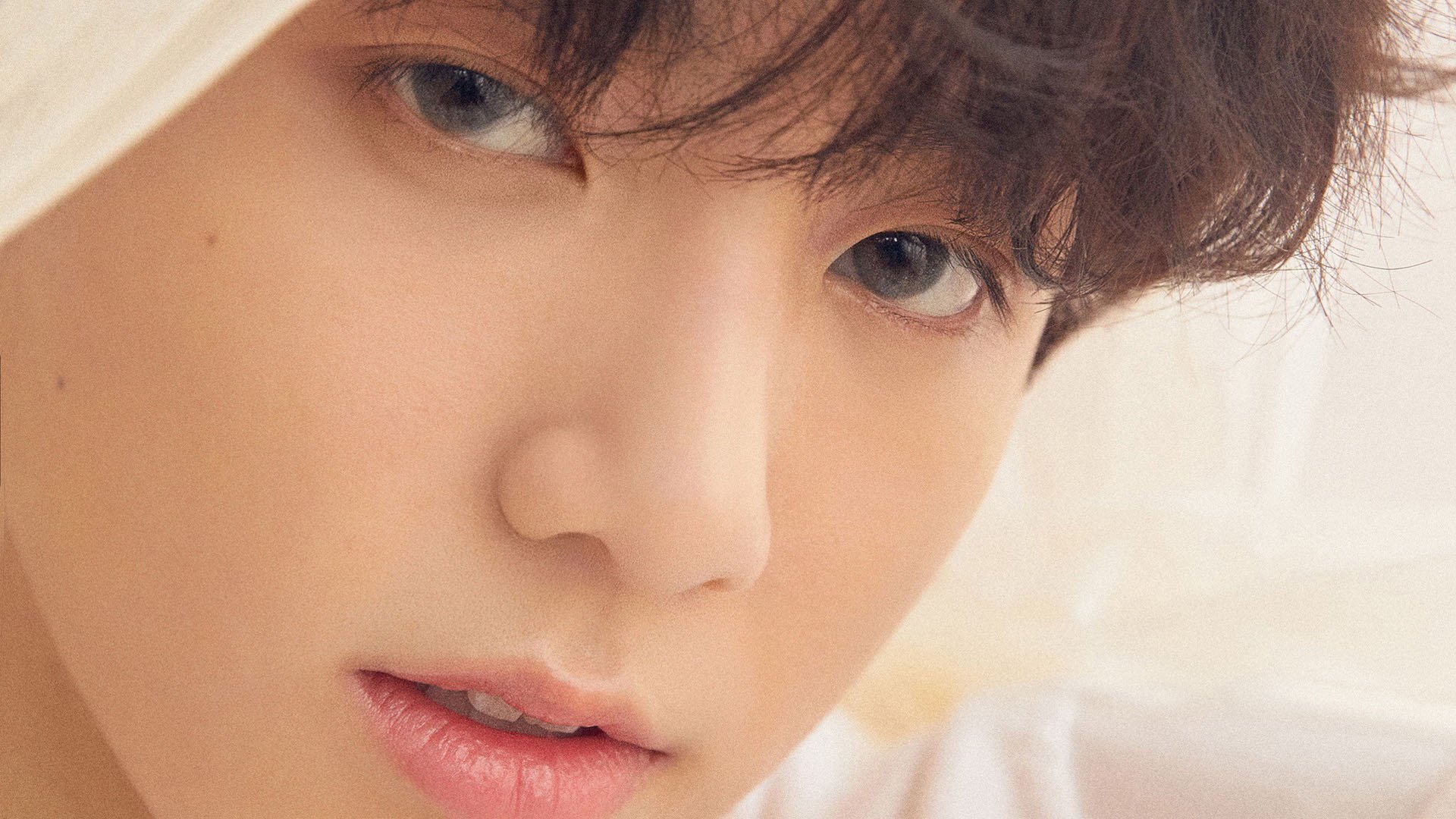 黑马球队崭露头角,向强敌发起挑战!,黑马队队徽