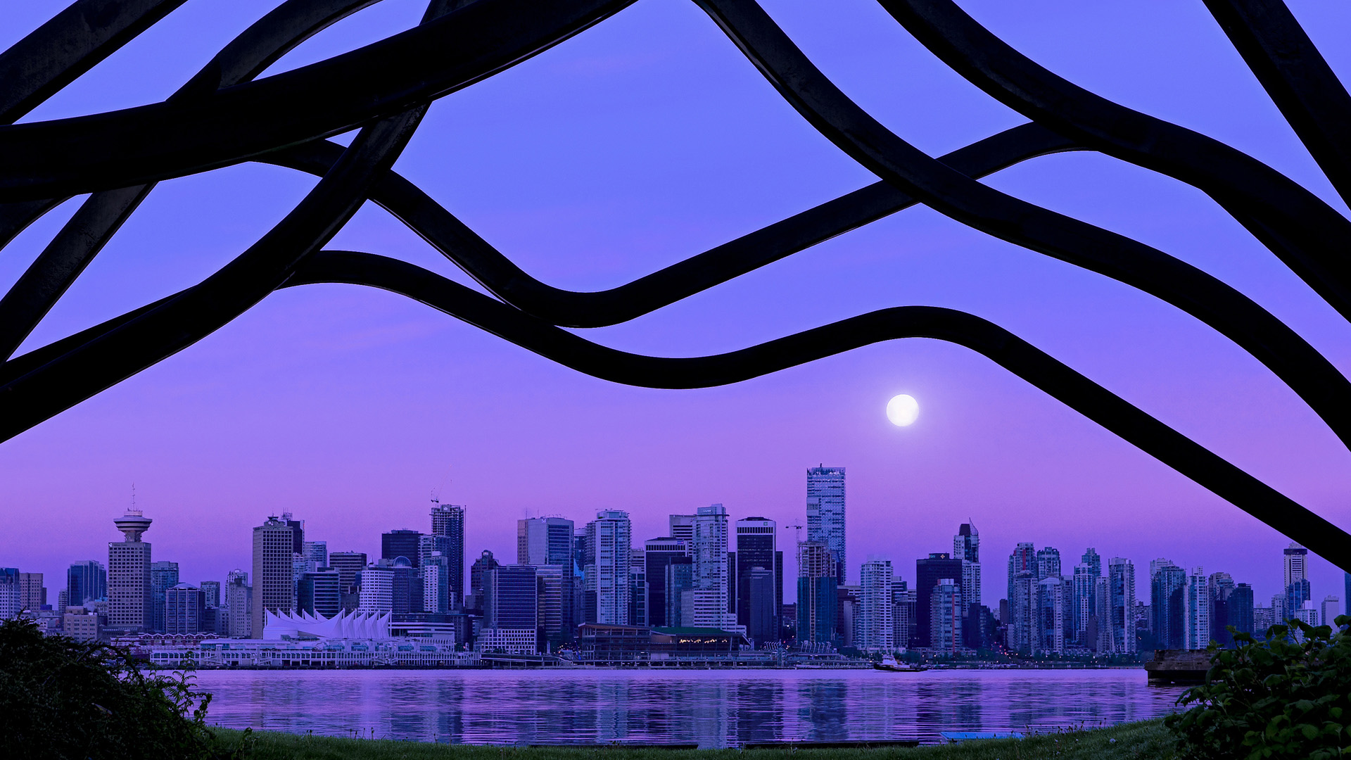 中国篮球青训教练员能力提升及发展规划,篮球教练员培训计划方案