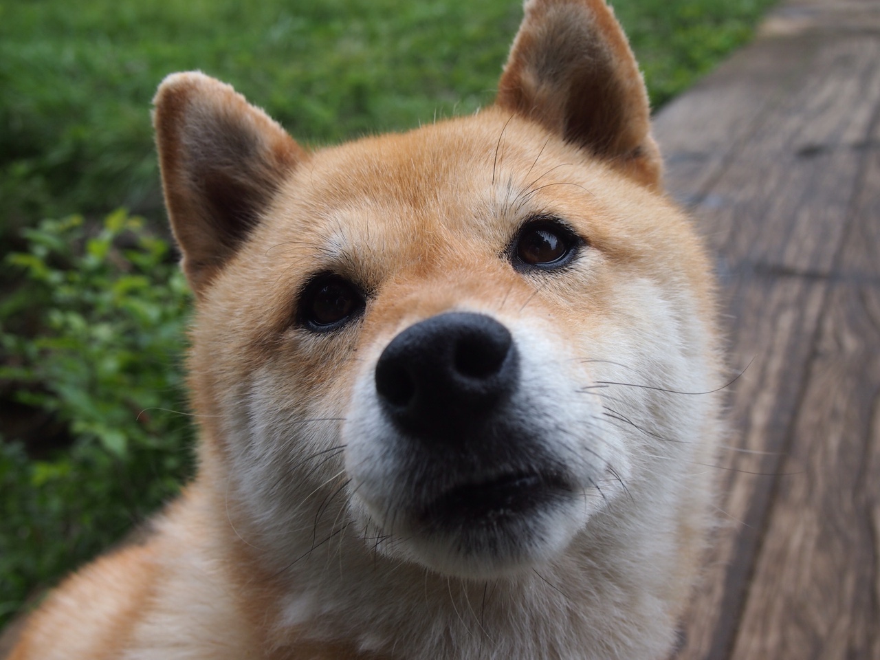 英超球队动态体能管理提升赛季表现稳定性,英超球队规则