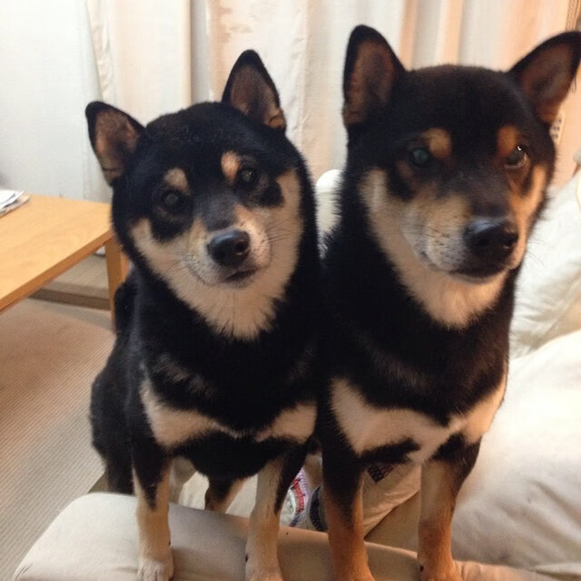 九游网页版入口-CBA球队探索智能化训练手段，智能篮球场管理系统