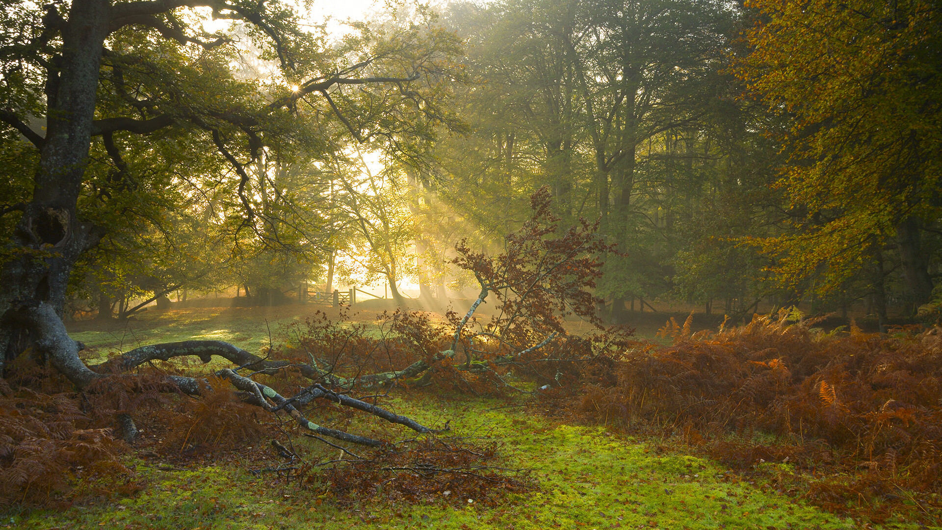 九游娱乐-体育新闻中心推动体育赛事版权保护法律框架完善，体育赛事媒体