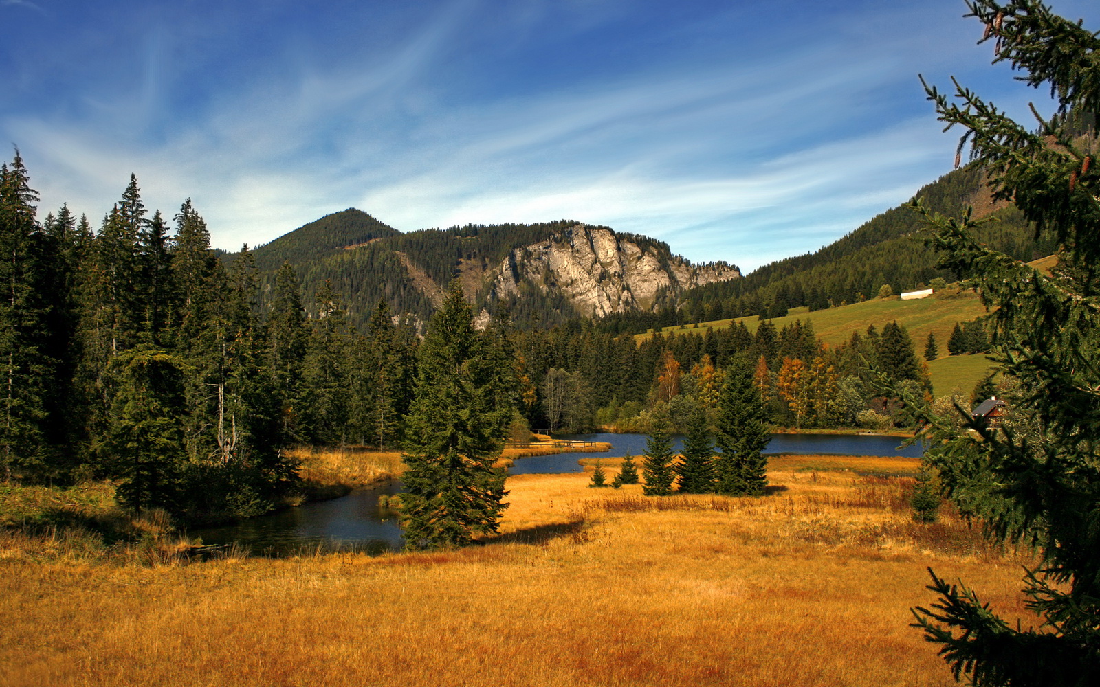 当前国家队由阿里·布齐安尼执教