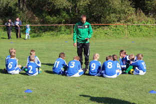 -替补席能否发挥稳定战术执行能力影响赛季后期，替补席是什么意思