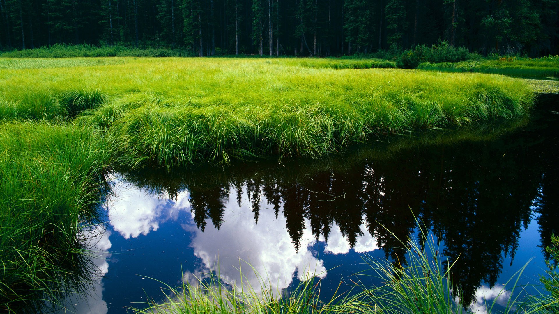 皇家马德里加强控球压制中场节奏,皇家马德里队形