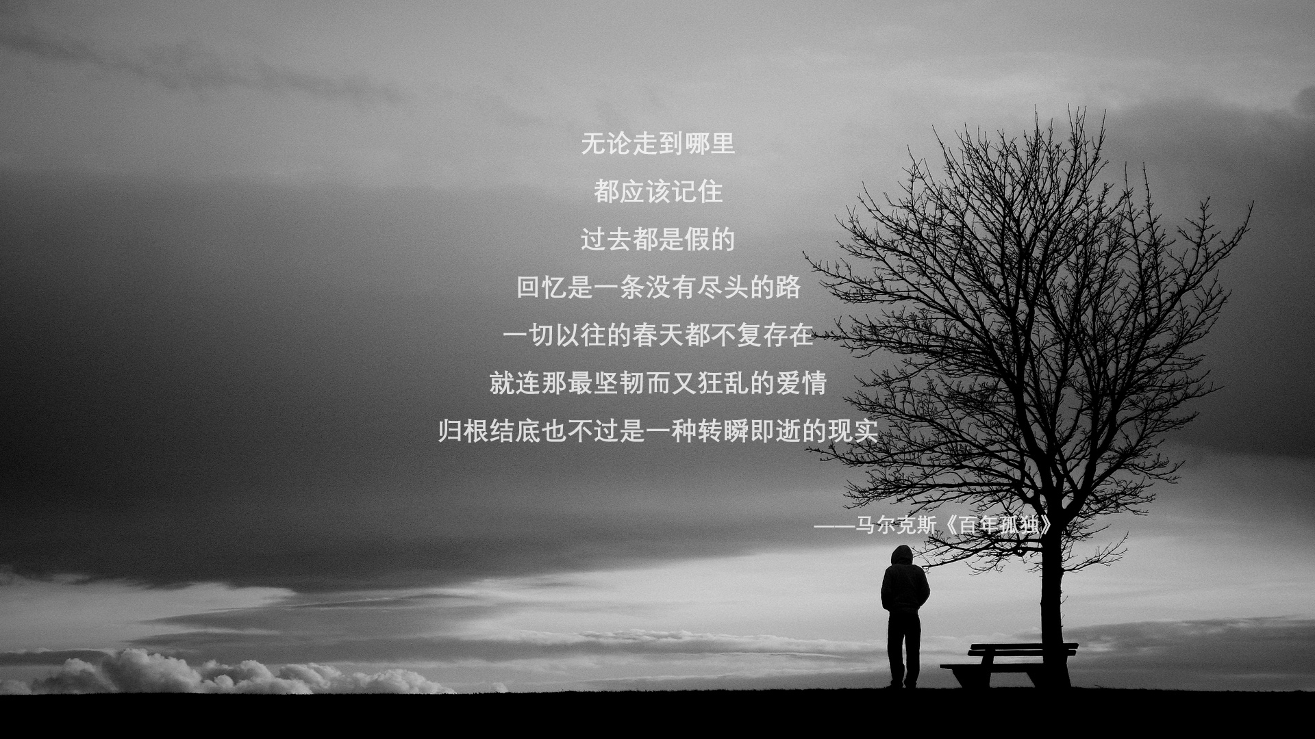 张雨霏与外国选手合影气氛融洽,张雨霏比赛现场