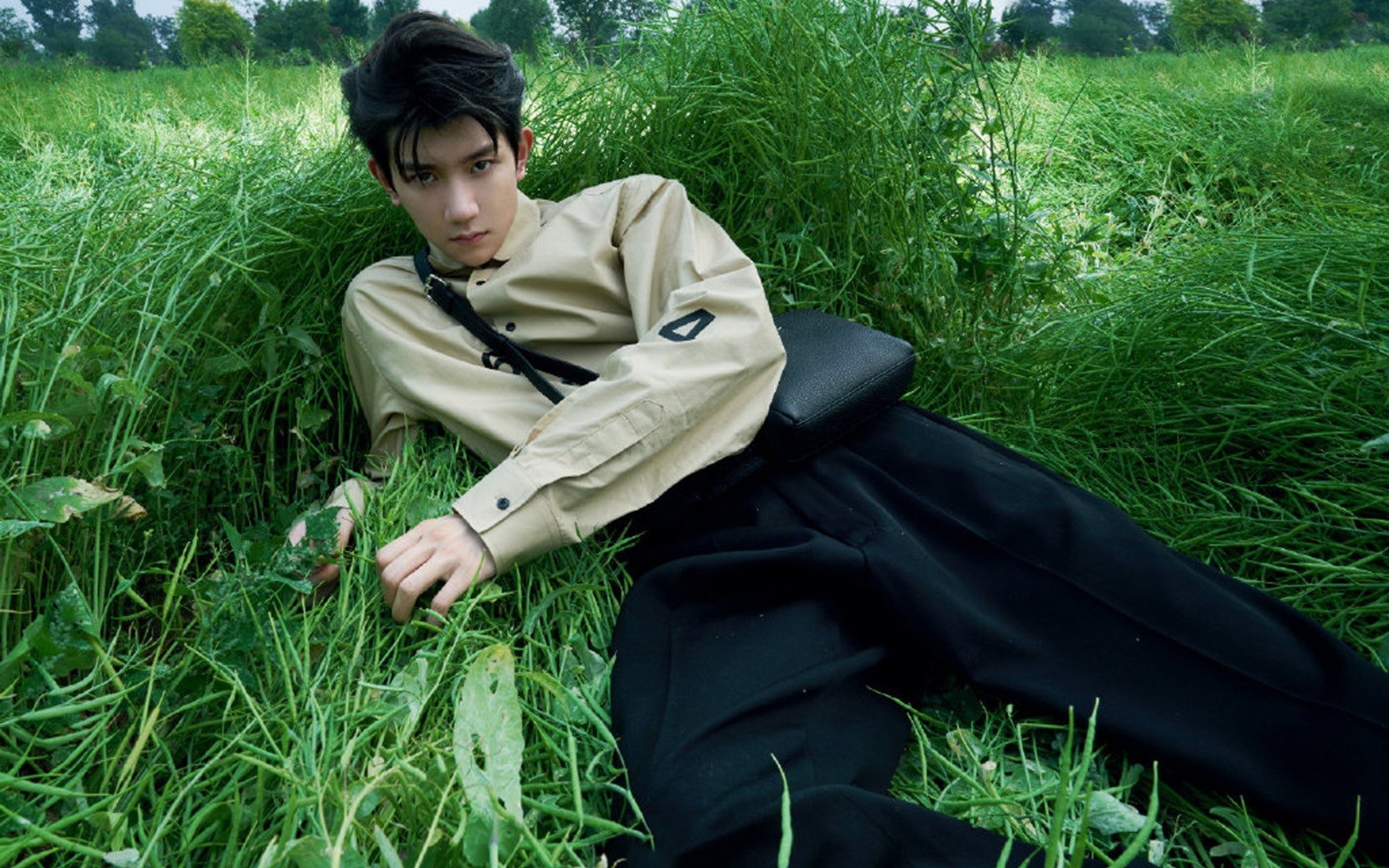 新西兰全黑队战术纪律严明,进攻防守游刃有余,新西兰全黑战舞视频