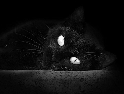 法国年轻天才崭露锋芒，未来可期