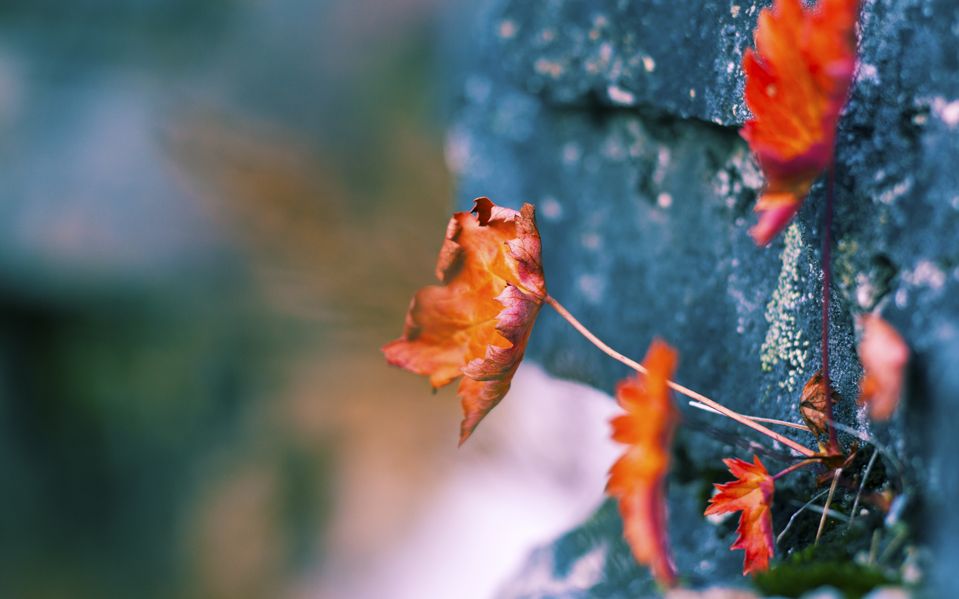 九游官网下载电脑版-裁判员轮换制度优化，减少争议判罚与疲劳因素，裁判员是否允许被替换下场队员不在中线处出场